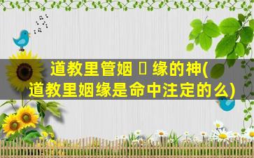 道教里管姻 ☘ 缘的神(道教里姻缘是命中注定的么)